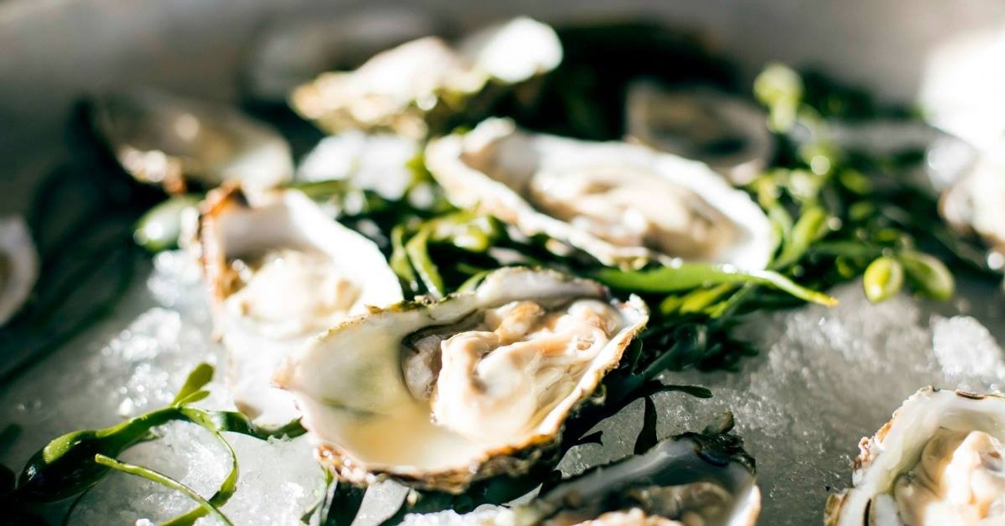 Happy Oyster Hours €1 De Buik van Amsterdam