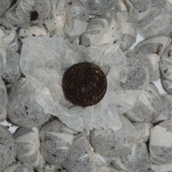 Little Rose Puer Black Tuo Cha from Seven Cups