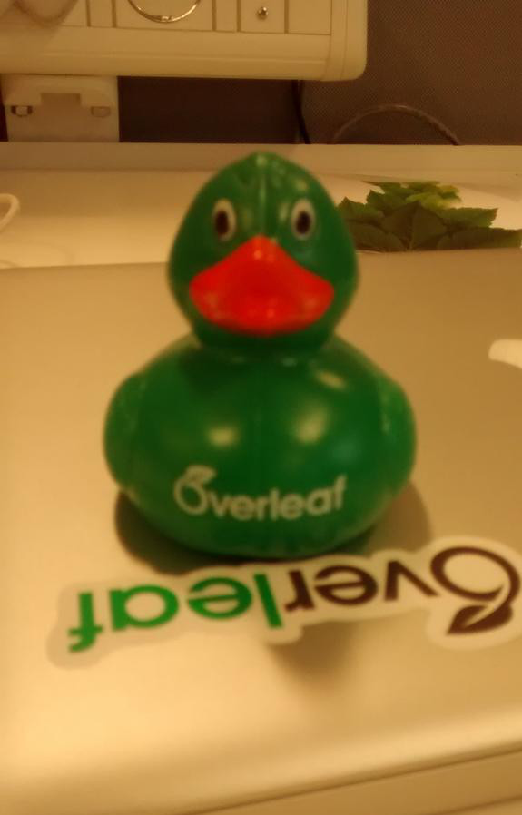 Overleaf Rubber Duck 2015