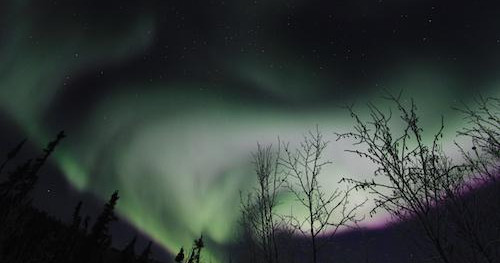 Experience the mesmerizing beauty of the Northern Lights with the exclusive Northern Lights & Murphy Dome tour in North Pole, Alaska. Offered by Alaska Wildlife Guide LLC, this private adventure takes you away from the crowds to witness the spectacular Aurora Borealis dance across the night sky in an untouched Arctic setting. As you journey to the top of Murphy Dome, you'll enjoy unobstructed views of the winter cosmos, making it ideal for photography, stargazing, and creating unforgettable memories. The tour combines serene snow-covered landscapes, expert guidance, and comfortable amenities, ensuring a cozy yet adventurous experience. Whether you're a seasoned traveler or a first-timer seeking the thrill of witnessing nature's most dazzling light display, this tour offers a personalized touch for all. The region’s cold winter nights provide prime conditions for Aurora viewing, complemented by the calm wilderness of North Pole, Alaska. Warm beverages and blankets are provided, making this a perfect winter escapade for those eager to explore and witness one of Earth's greatest natural phenomena in a safe, private setting. Join Alaska Wildlife Guide LLC for an inspiring night under the shimmering sky and create stories you'll cherish forever. - Fairbanks