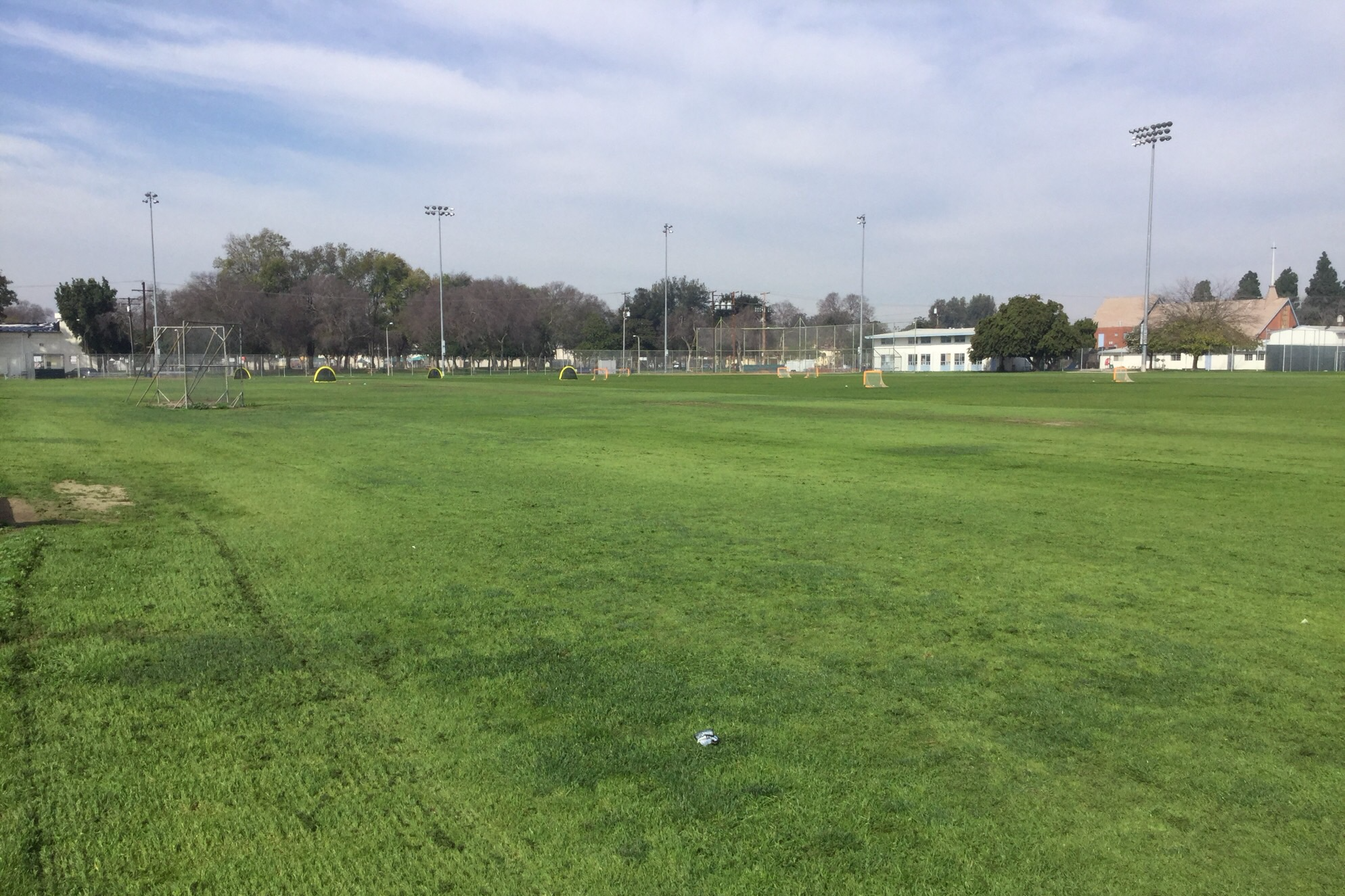 Field - Sundays only