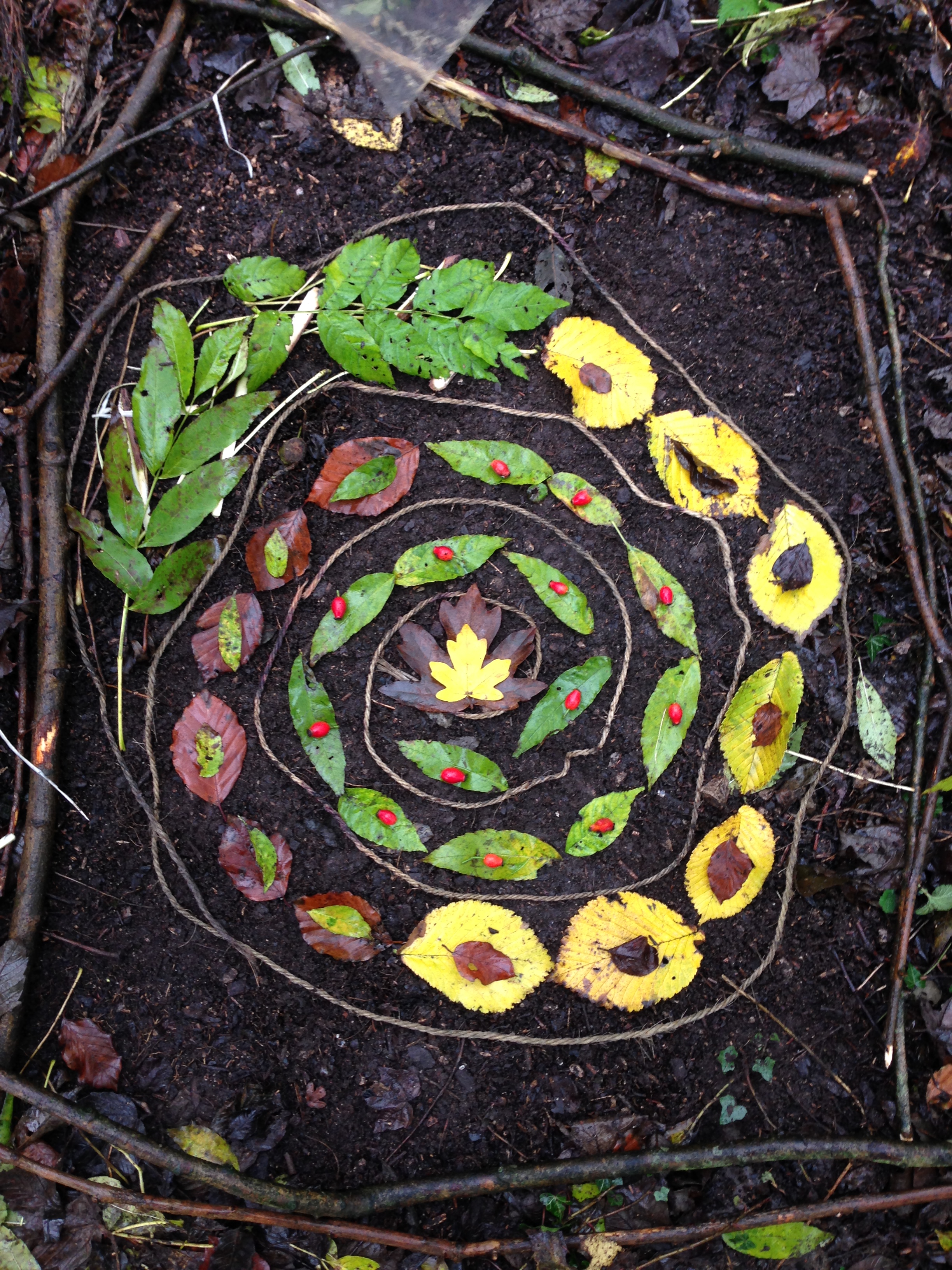 1-getting-started-in-forest-school-nocn-level-3-certificate-for
