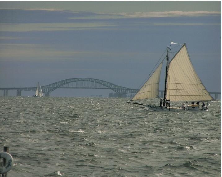 Dine & Sail photo 1
