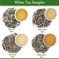 White Tea Sampler (4 X 25gm) by Golden Tips Tea from Golden Tips Teas
