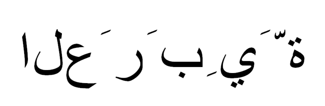 image of non-typeset Arabic text (isolated characters)