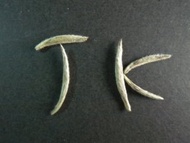 Organic Silver Needle White Tea from JK Tea Shop