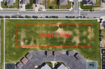 Main Field
