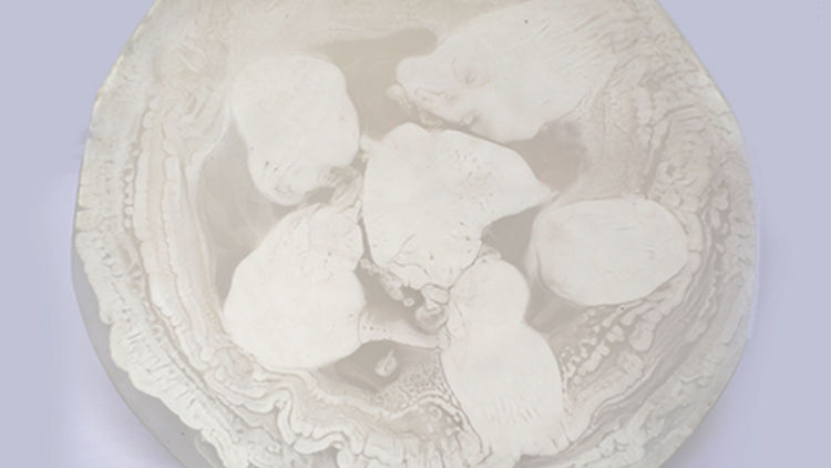 White platter