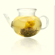 Golden Jasmine from t Leaf T