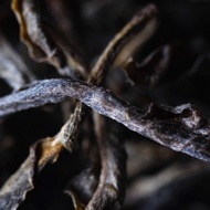 Man Le Sheng Pu'er from West China Tea Company
