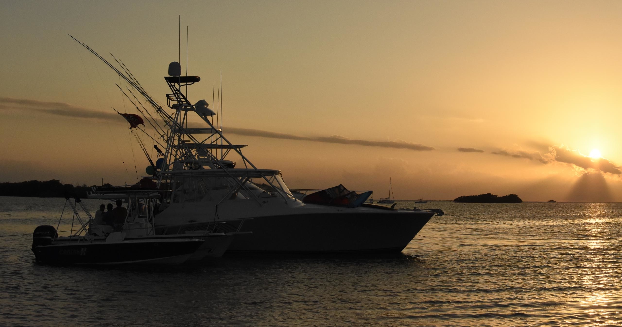 Bioluminescent Bay and Rum Tour at la Parguera from San Juan tour photo 6