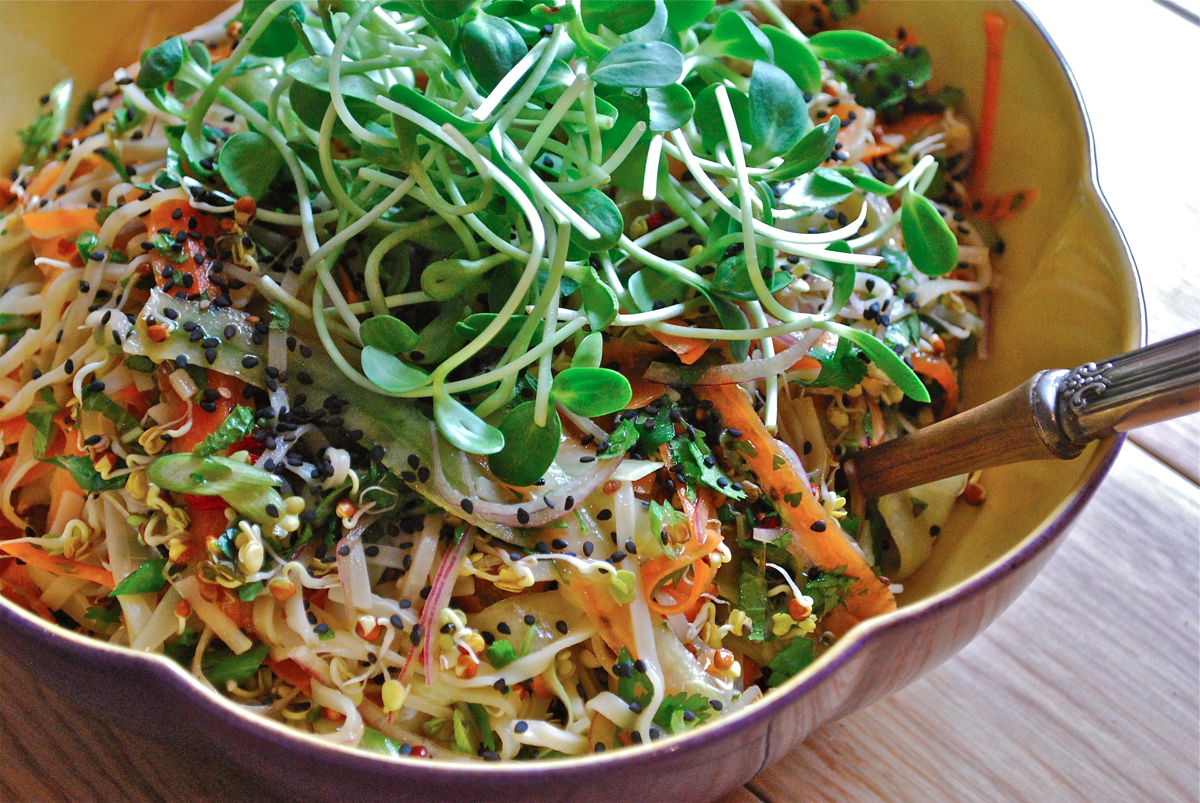 Crunchy Asian Sprout Salad