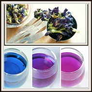 Organic Butterfly Pea Flower from BaanChaUK