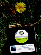 Midsummer Moonshine from Solstice Brews