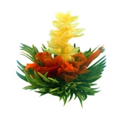 Fab Flowering Tea Fab Jasmine from Tea Beyond