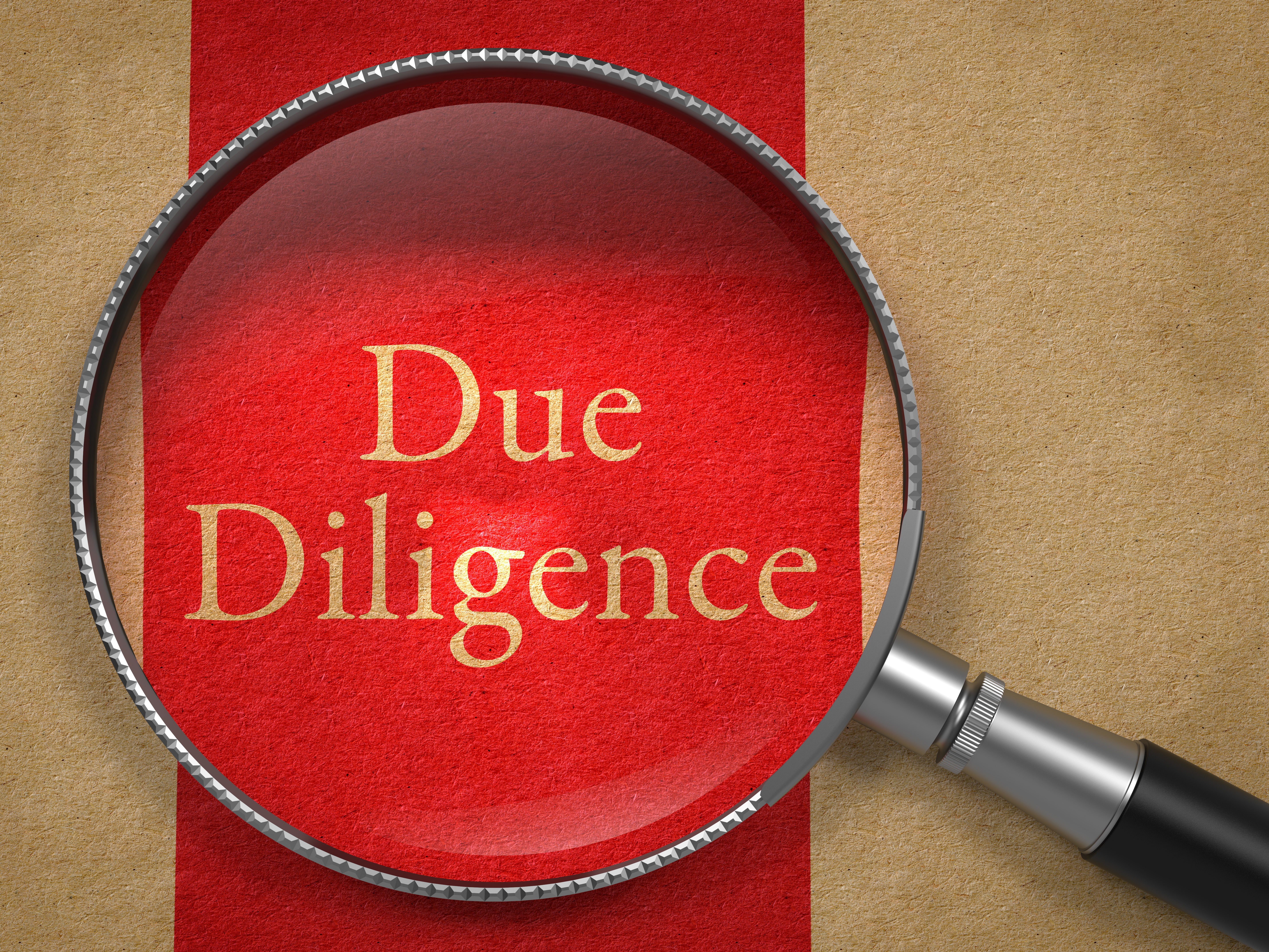 Product image for Due Diligence