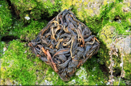 Dark Faerie from Whispering Pines Tea Company