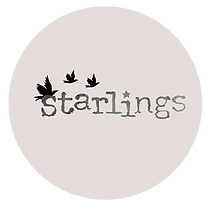 Madison Starlings Volleyball Club, Inc. logo