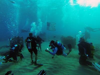 Wreck & Reef Tour photo 1