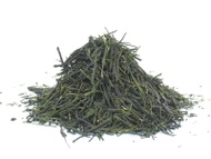 Gyokuro from Asahina, Saemidori cultivar from Thés du Japon