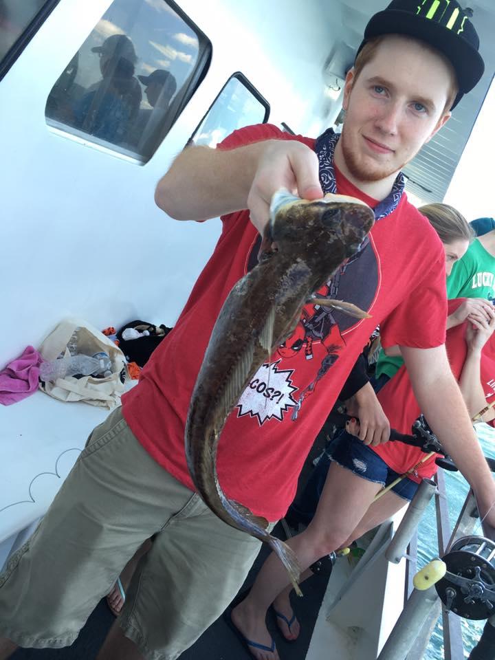 12 hour Cod-Ling
