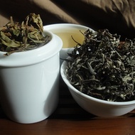 Glenburn Darjeeling Moonlight from Butiki Teas