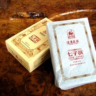 357g Qi Zi Fu Tea from Shaanxi Cang Shan Tea Jing Wei Fu Tea Company
