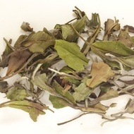 Gong Mei from Tea Drunk