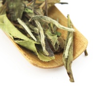 Shou Mei from Tao Tea Leaf