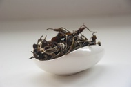 Bai Mu Dan from Het Zuyderblad