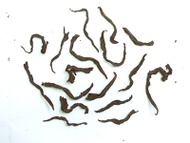 Jin Guan Yin from jing tea shop