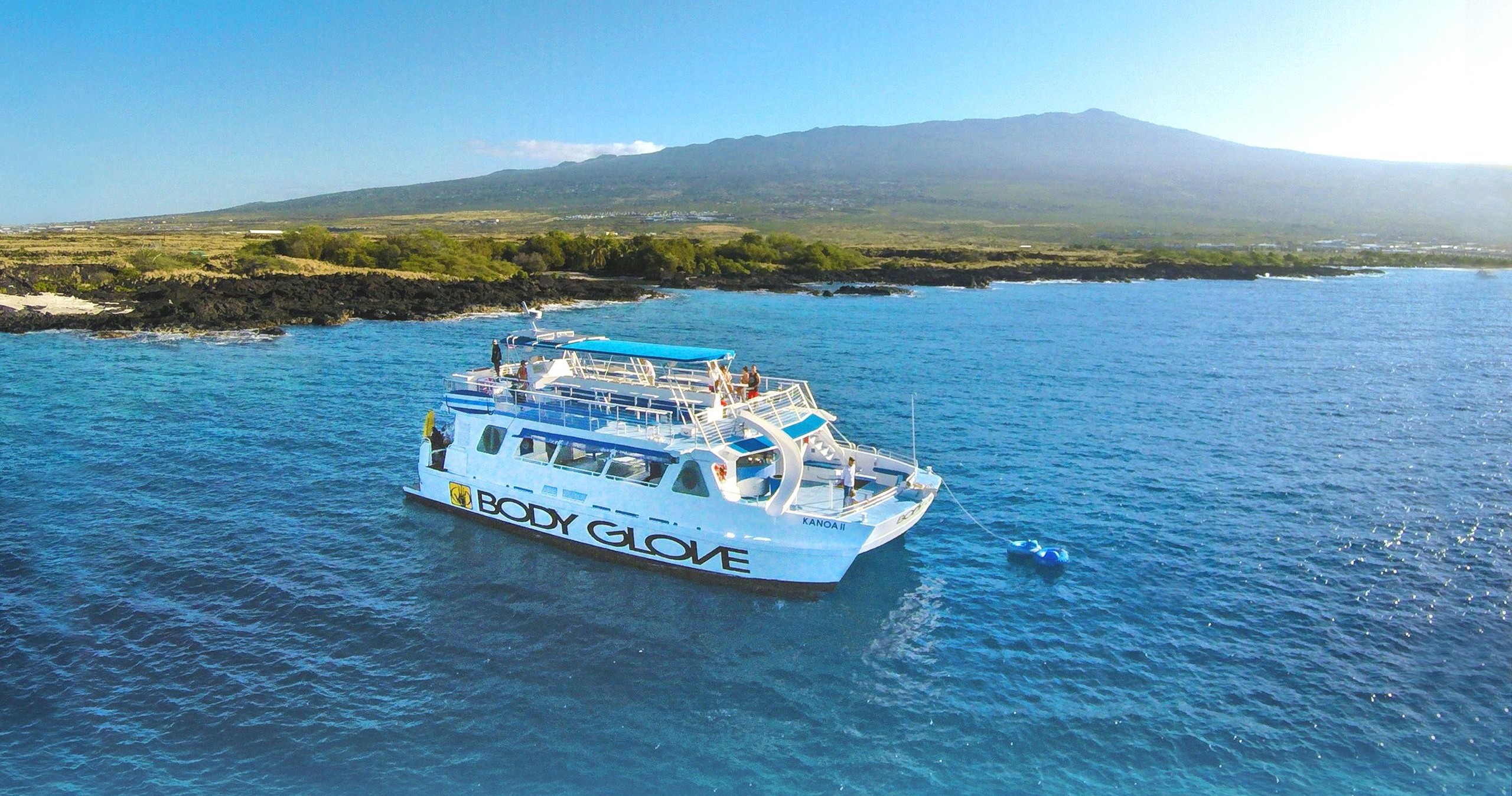 Big Island Dolphin Tours