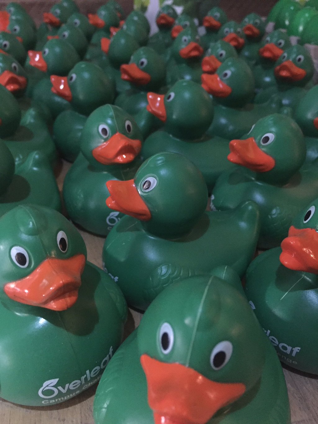 Overleaf Campus Challenge Ducks!