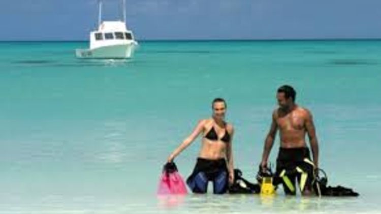 Scuba Diving
