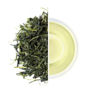 Sencha of the Earth from Kyoto Obubu Tea Farms