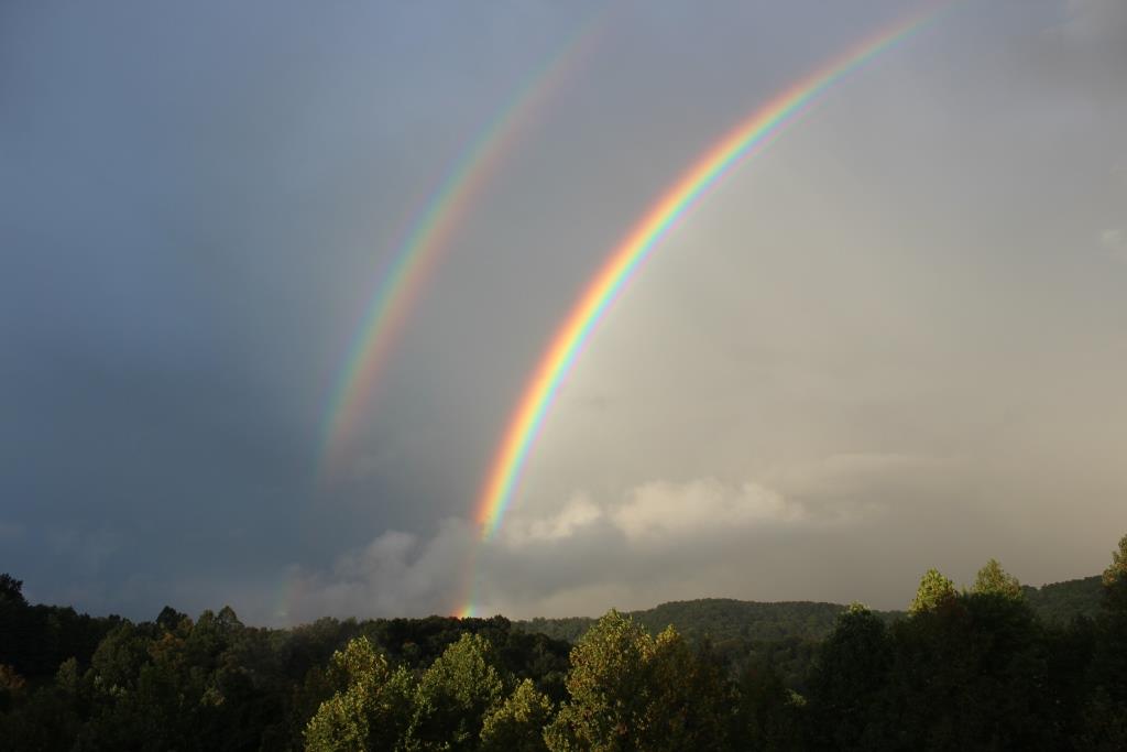 THE WEST VIRGINIA END OF LIFE COALITION, INC. logo
