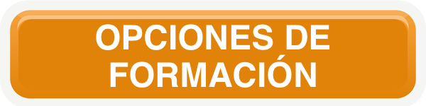 opciones de formación
