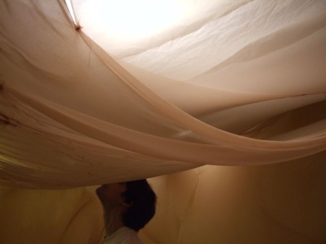 image: 