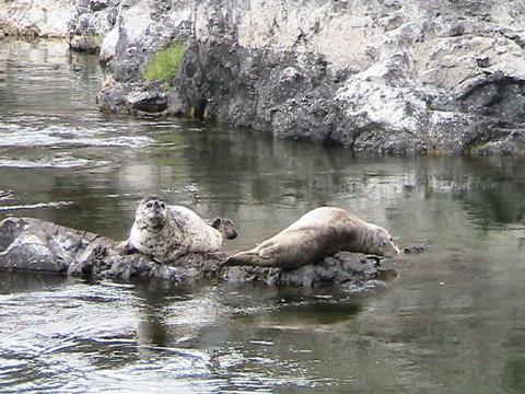 Jet Boat Tours on the Klamath River with Klamath Jet Boat - Eureka, California