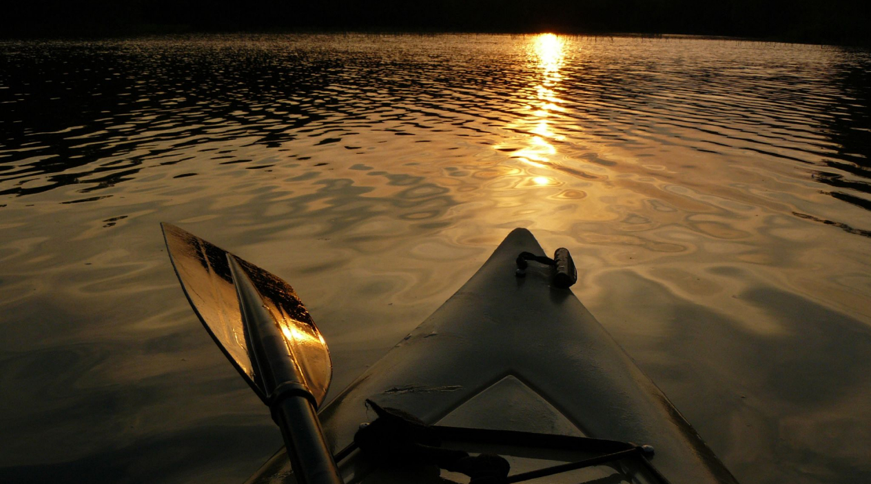 Sunset Kayak and Stargazing LED Tour Book Tours & Activities at