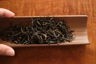 Spring 2024 Yingpan Shan Black from Farmerleaf