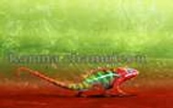 Karma Chameleon from Adagio Custom Blends