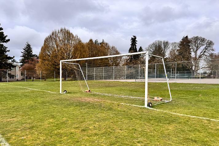 Soccer Field - Grass