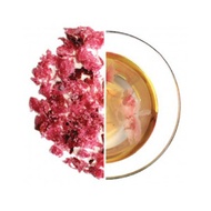 Sakura Tea from Kyoto Obubu Tea Farms