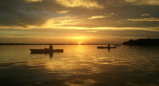 Mangrove Maze Kayak Tour-Matlacha photo 1