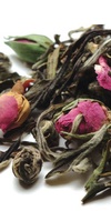Meditative Mind from The Tea Spot