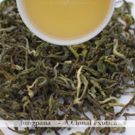 2019 Darjeeling First Flush Tea: Jungpana clonal from Darjeeling Tea Boutique