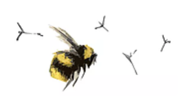 Bee the Change Project logo