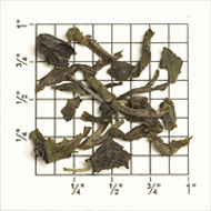 Snowview Estate FTGFOP1 In-between (DJ-13) from Upton Tea Imports