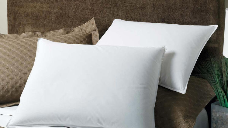 Hotel Style White Goose Chamber Pillow Pillow Size: Jumbo